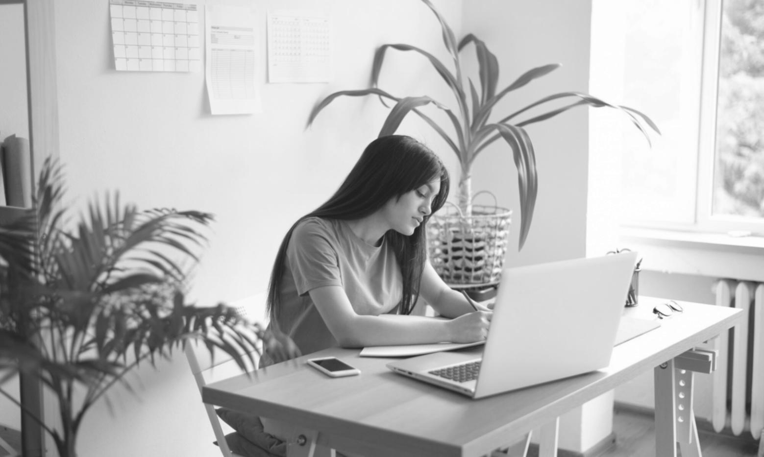 Formation en gestion financière - manuravida